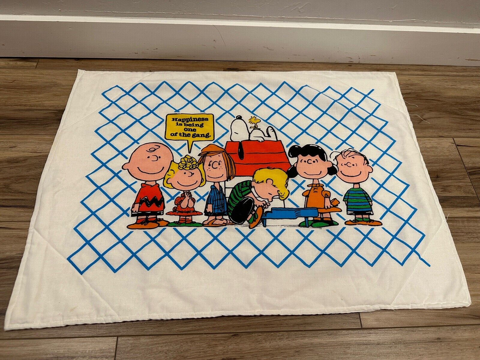 Vintage Snoopy/Peanuts Homemade Fabric Picture/Poster 22” x 16” 1981
