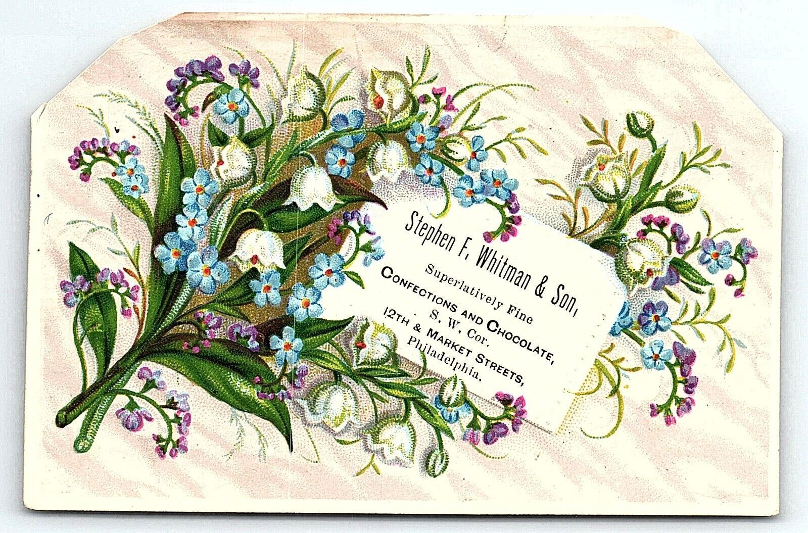 c1880 VERY EARLY STEPHEN F. WHITMAN & SON CHOCOLATE  VICTORIAN TRADE CARD Z4135