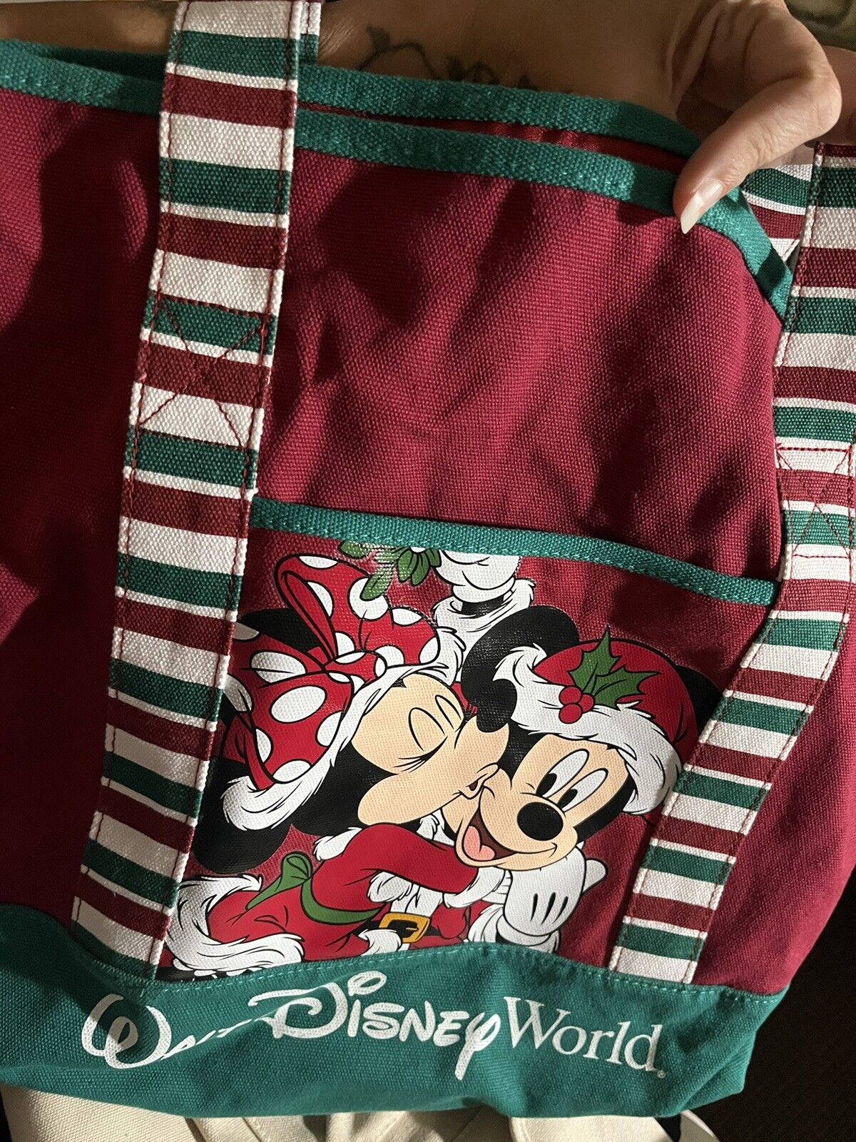 NEW Walt Disney World Mickey Minnie Mouse Christmas Holiday Zip Canvas Tote Bag