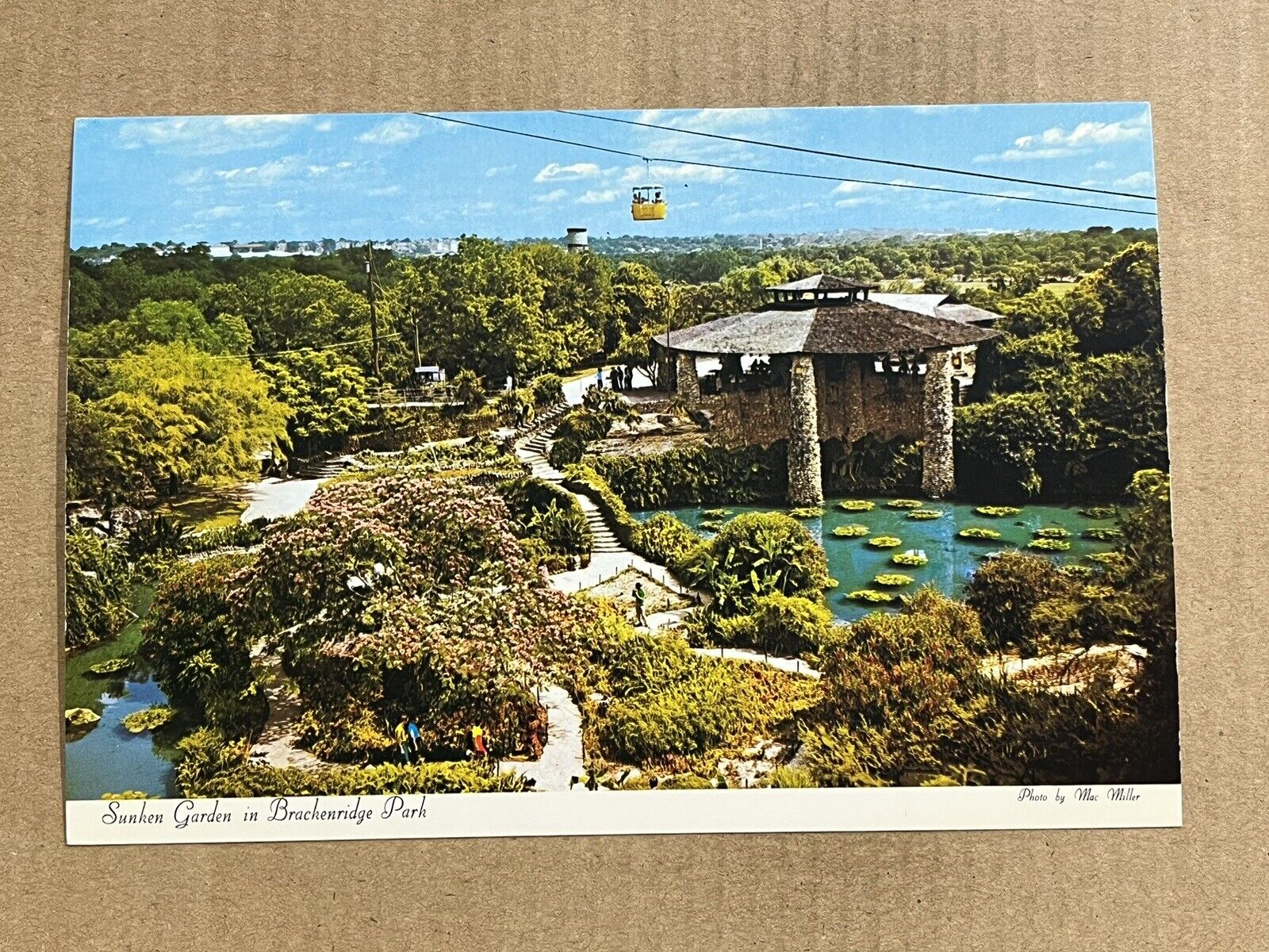 Postcard San Antonio Texas TX Brackenridge Park Sunken Garden Vintage PC