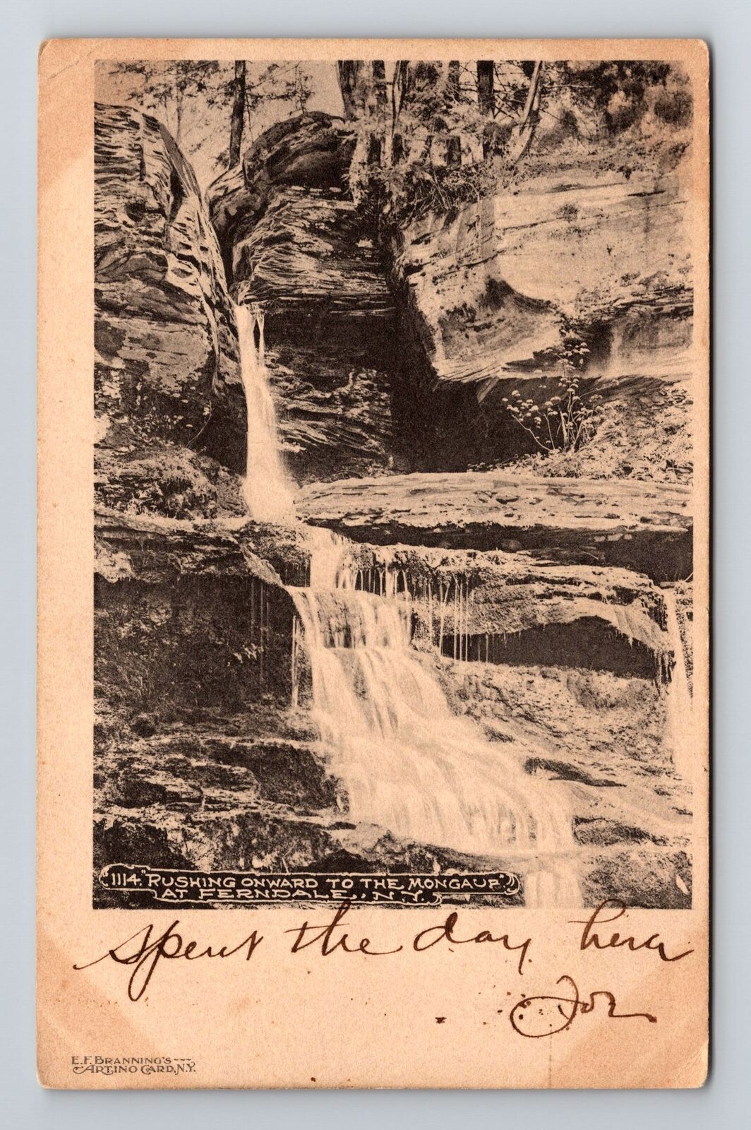 Ferndale NY-New York, Rushing Onward To Mongaur, Antique Vintage c1905 Postcard