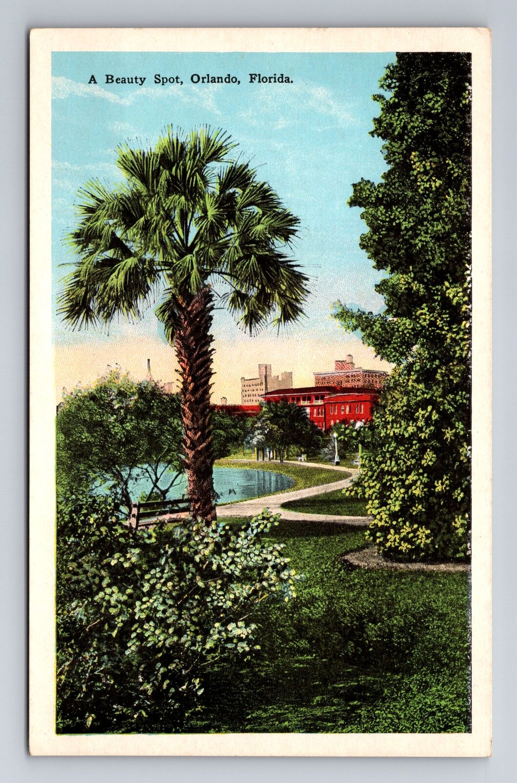 Orlando FL-Florida, A Beauty Spot, Antique, Vintage Souvenir Postcard