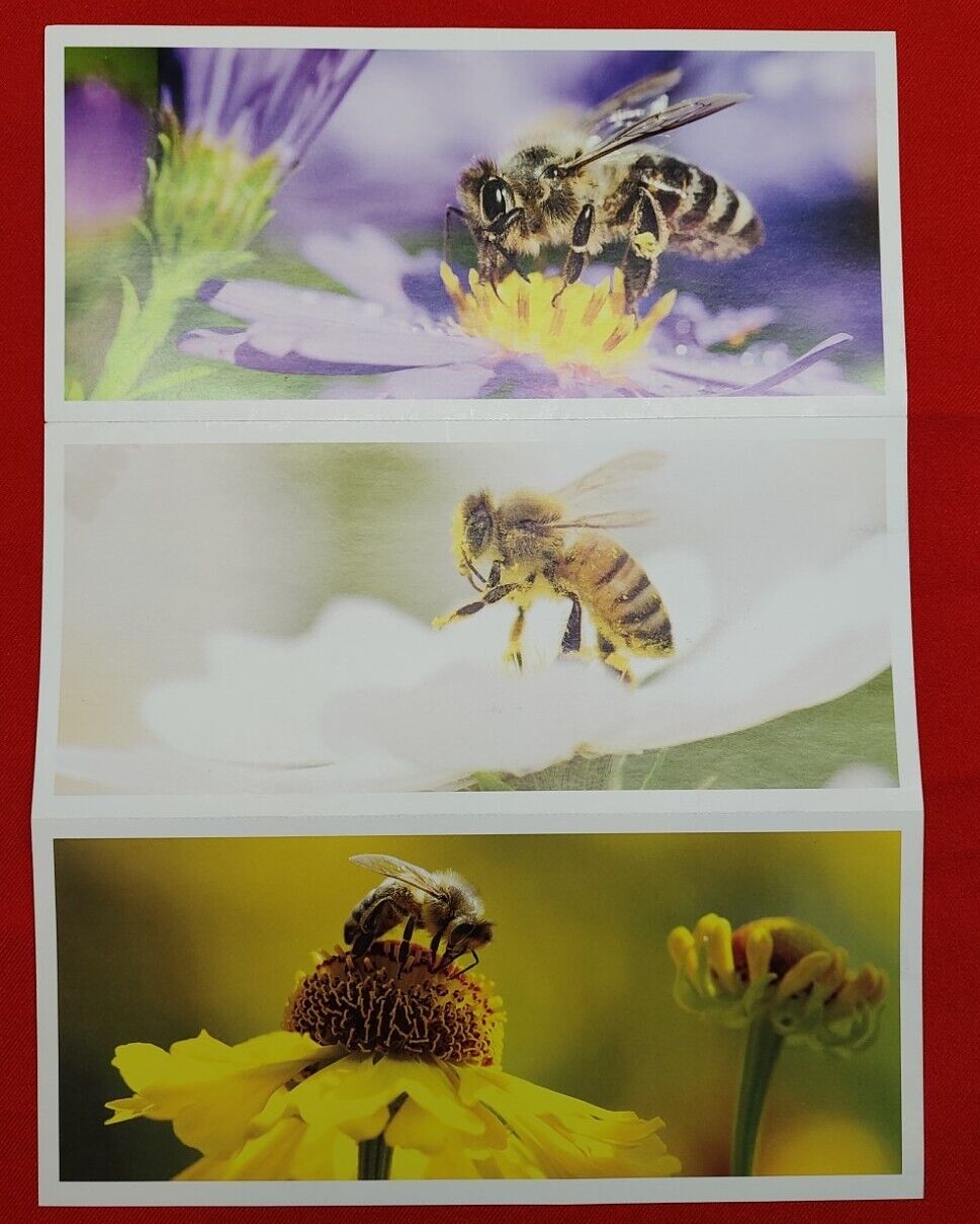 3 New Sierra Club Bee Postcards