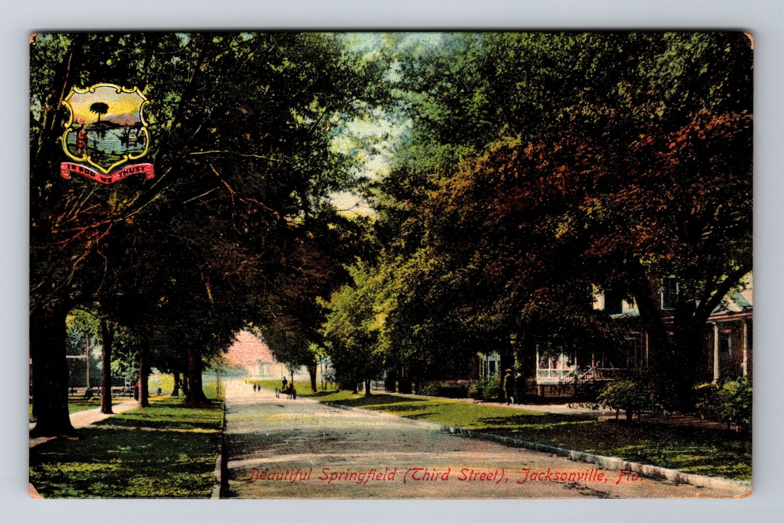 Jacksonville FL-Florida, Beautiful Springfield, Antique, Vintage Postcard