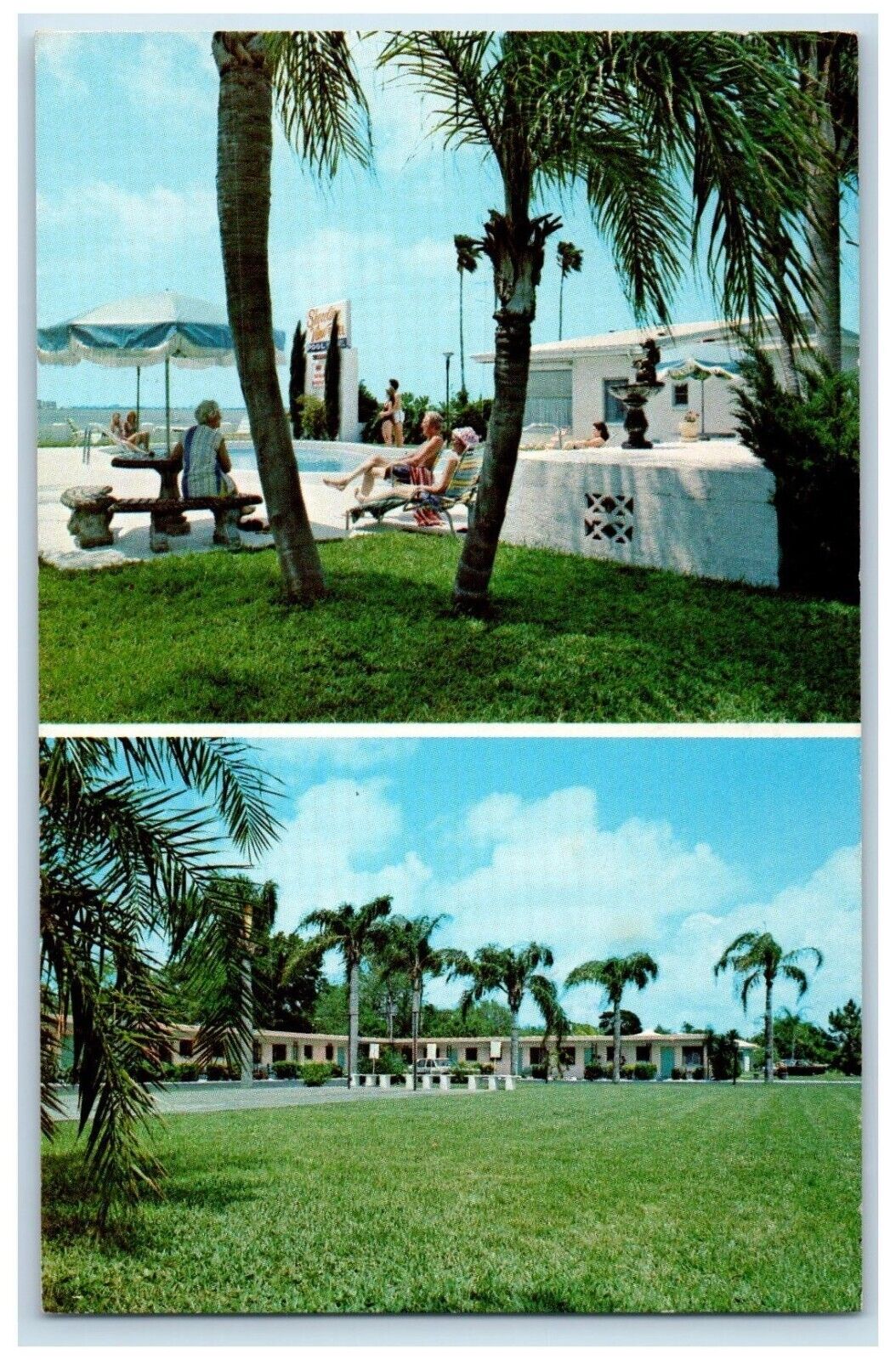 Shoreline View Motel Swimming Pool Clearwater Tampa FL Dual View Postcard
