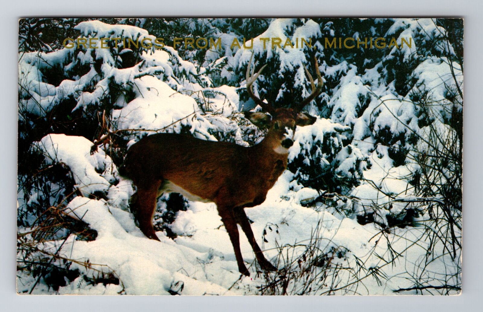 Autrain MI-Michigan, General Greetings Deer, Antique, Vintage c1966 Postcard