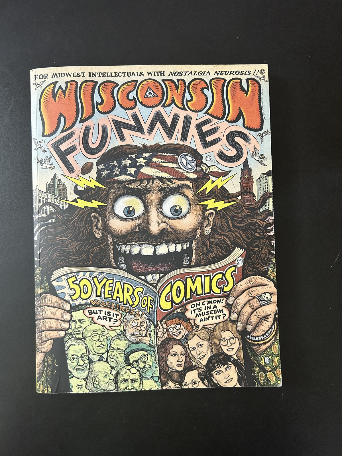 Wisconsin Funnies 50 Years of Comics Museum of Wisconsin Art Book Extremely Rare