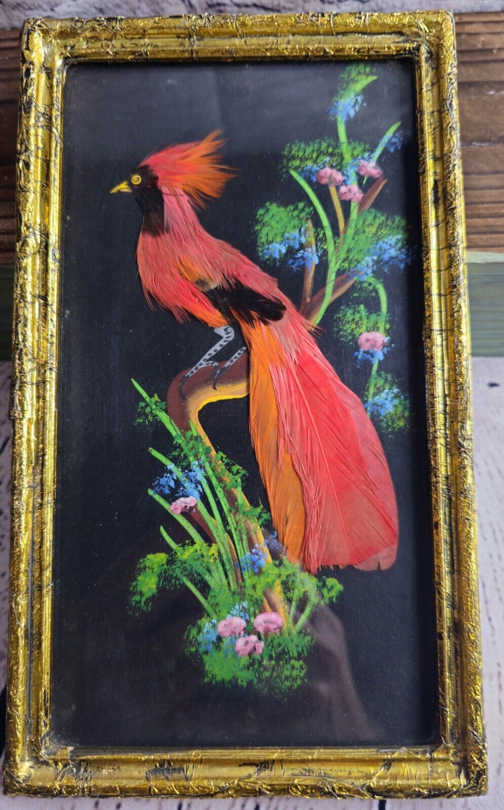 Vintage Mexican Feather Art Painting Real Feathers 9 In Red Frame Damage
