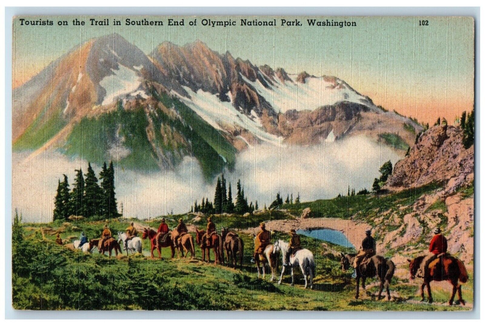 c1930\'s Tourist On The Trail In Southern End Olympic National Park WA Postcard