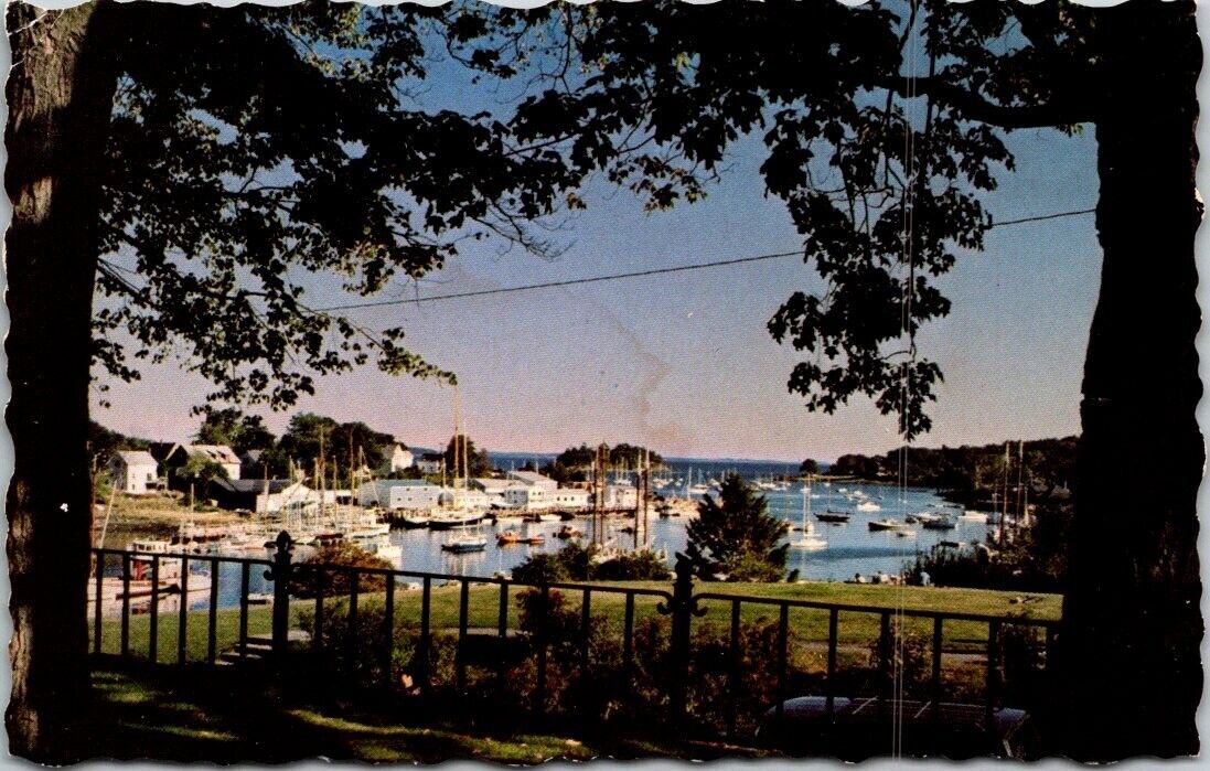CAMDEN, MAINE ME Harbor Ships View from Library Postcard