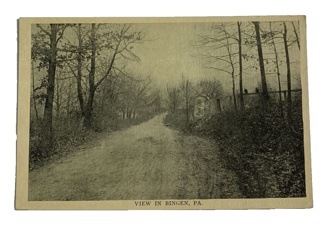 View in Bingen Pa Postcard Antique Divided Back Era