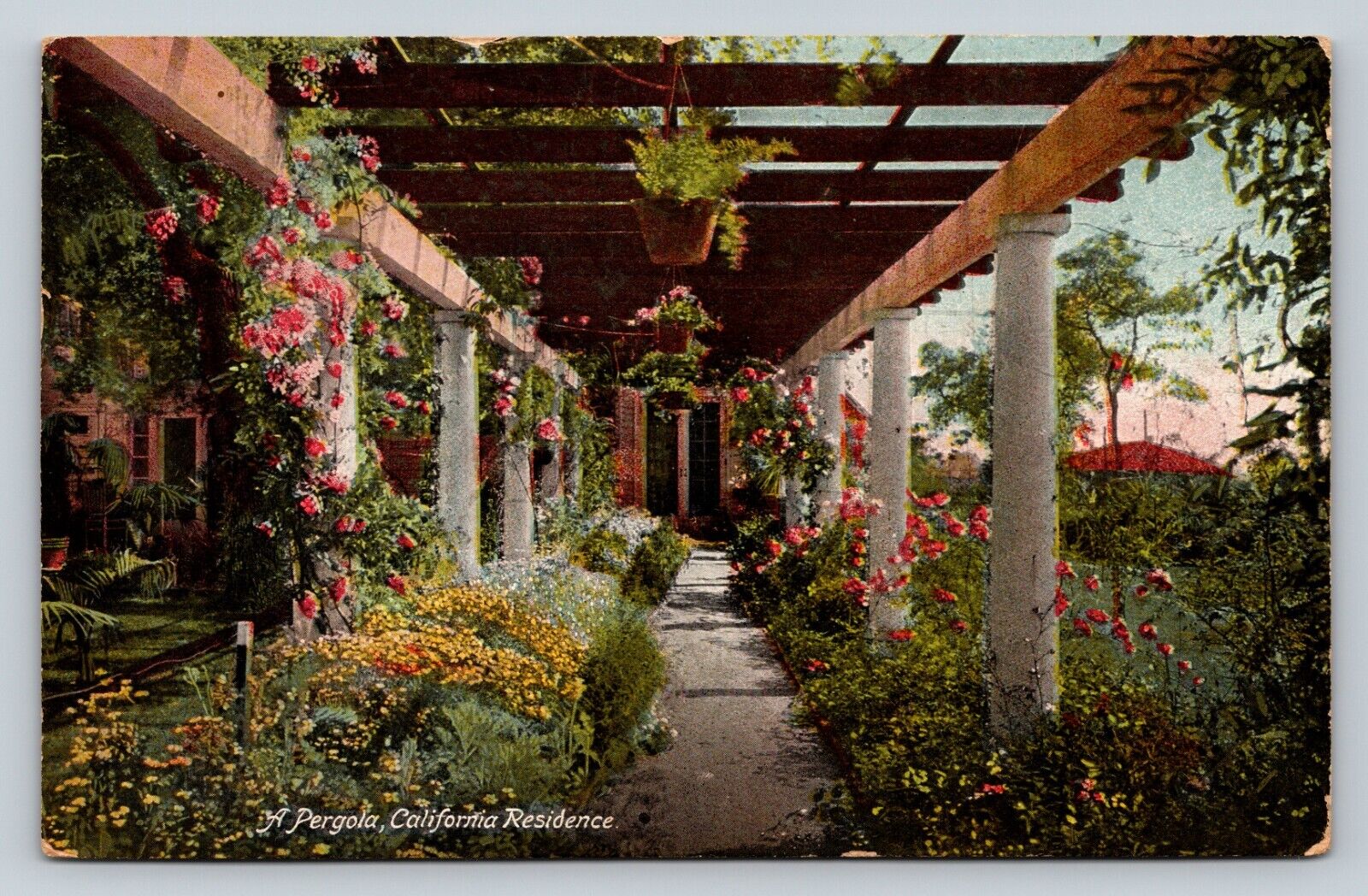 c1909 A Pergola California Residence Pretty Flowers & Plants ANTIQUE Postcard