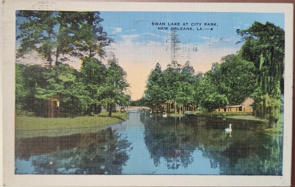 Postcard Swan Lake At City Park New Orleans Louisiana 1935 Stamp Cancel