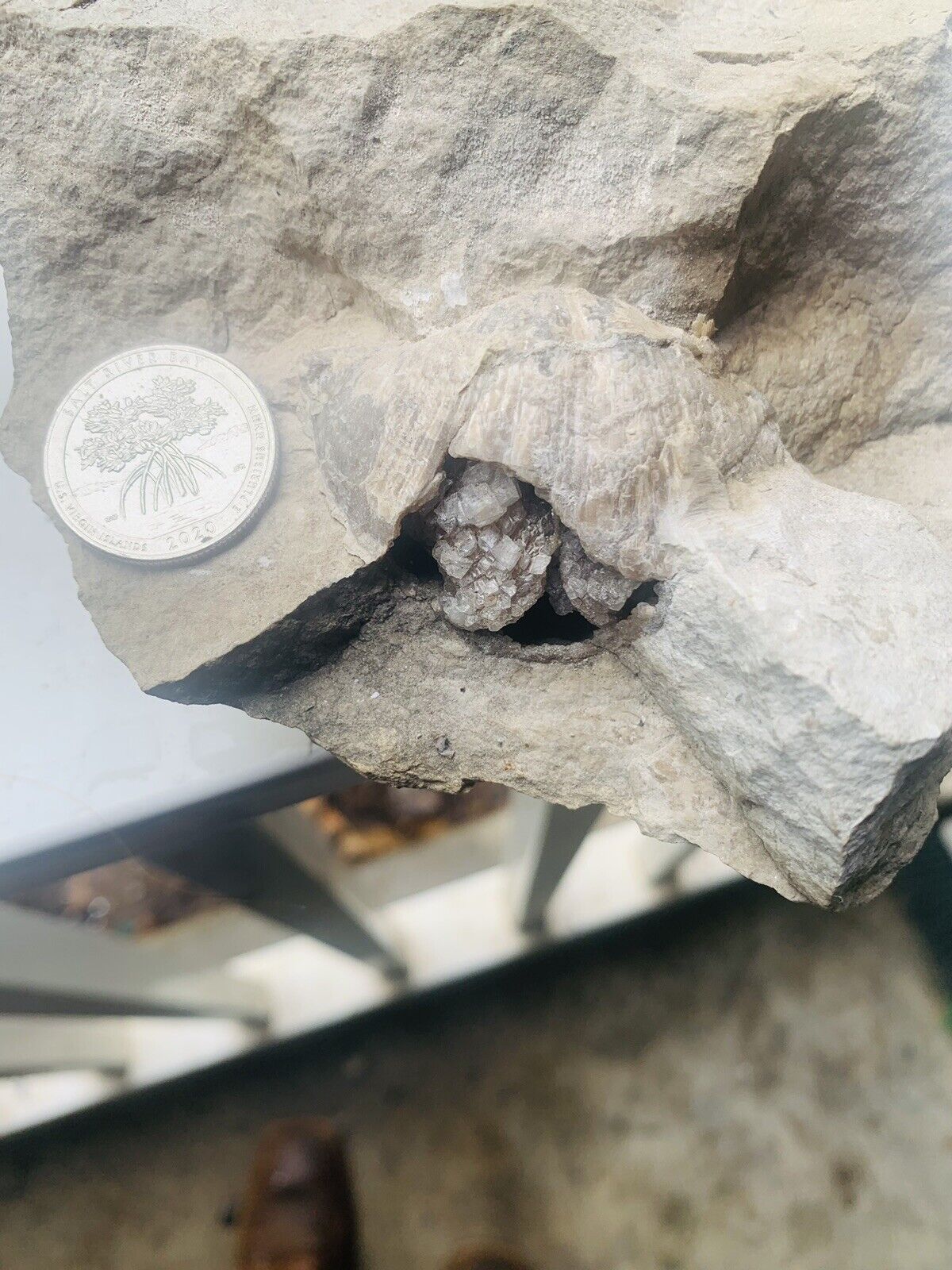 Very Rare, Calcite Crystal, Brachiopod Geode