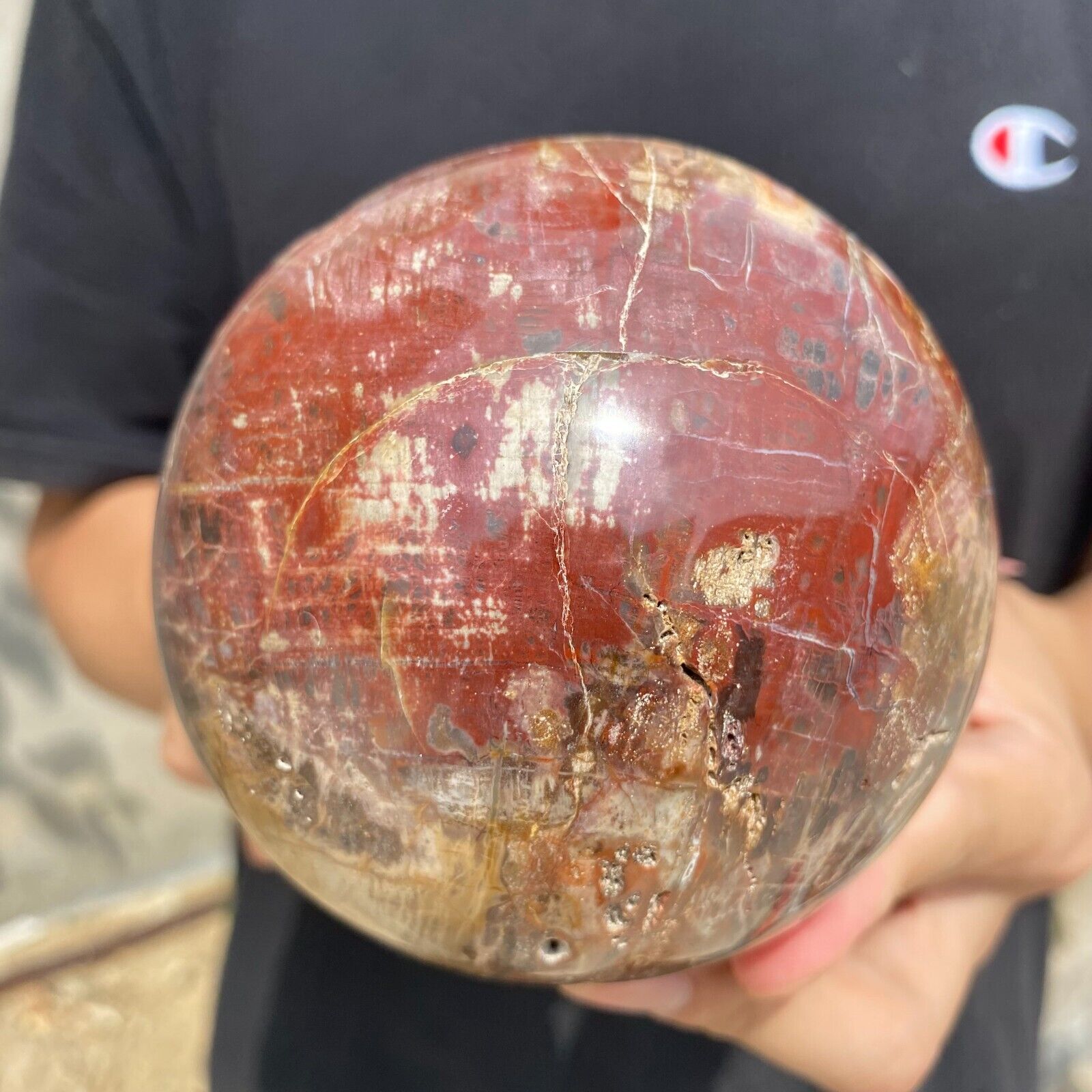 3lb Natural Petrified Wood Crystal Ball Fossil Polished Sphere Specimen