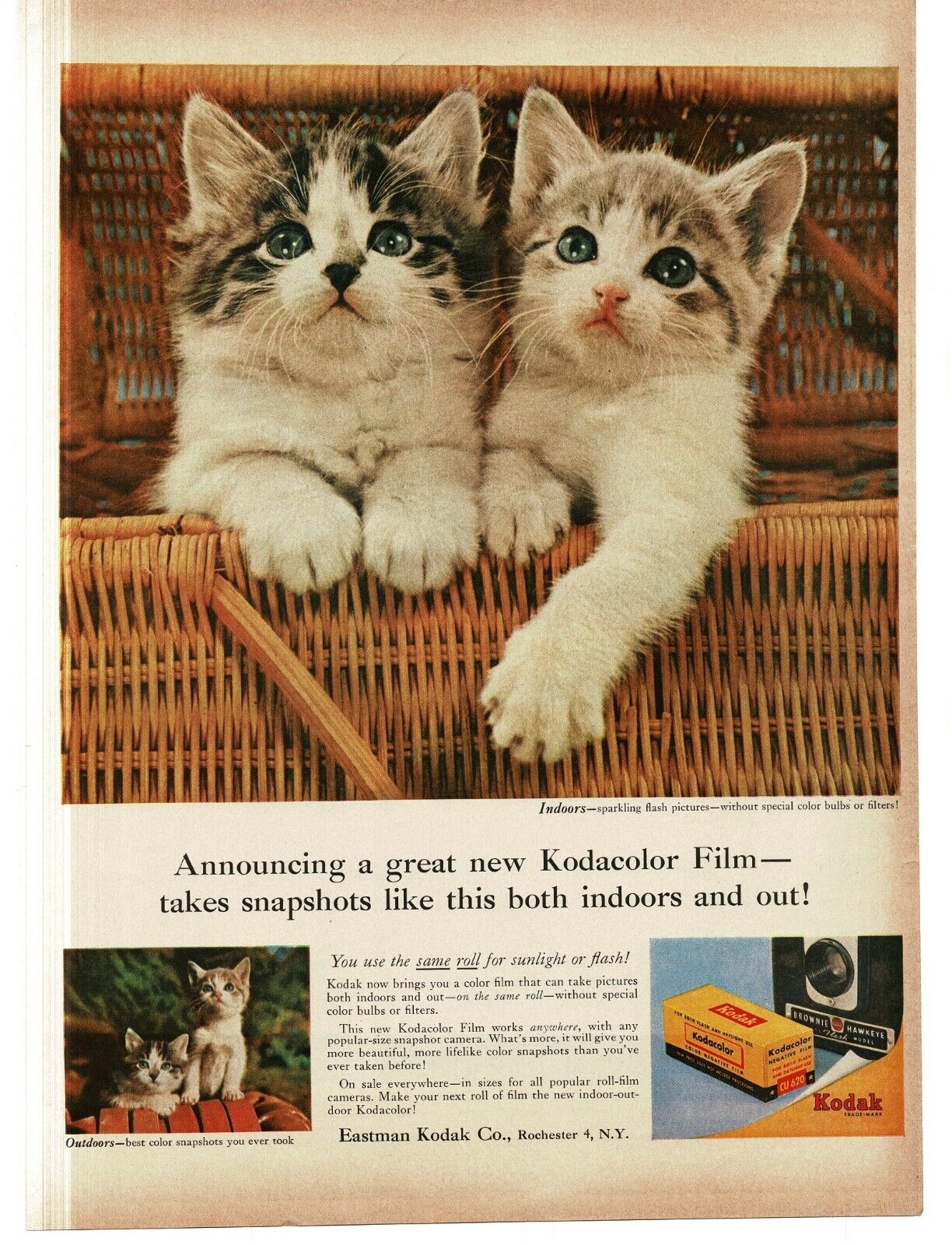 1956 Kodak Kodacolor Camera Film kittens in wicker basket Vintage Print Ad