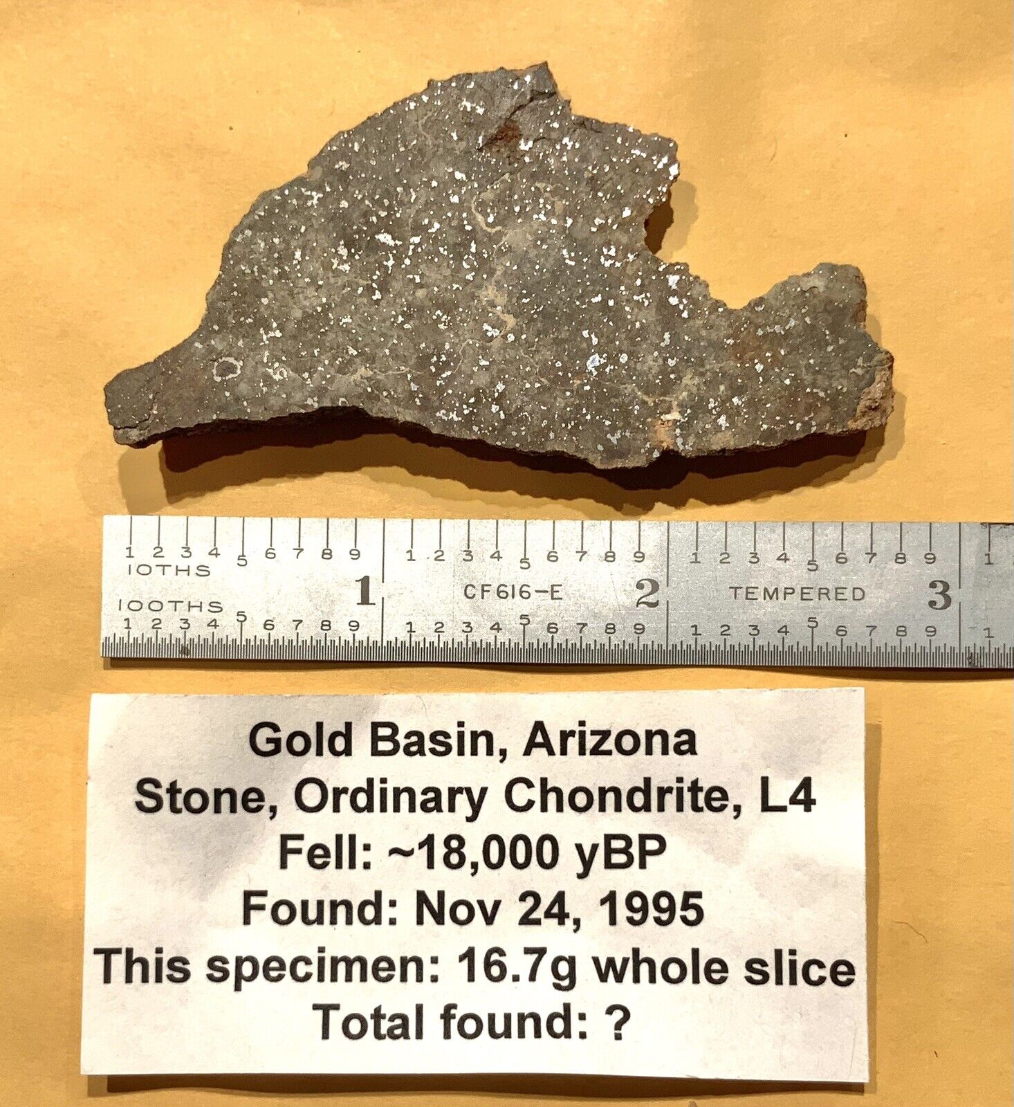 Meteorite Ordinary Chondrite Gold Basin Arizona 16.7 Gram Slice