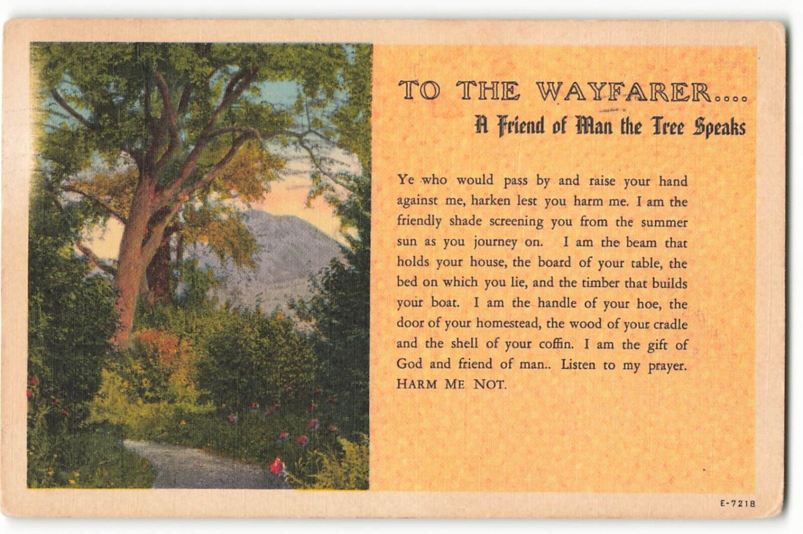 Postcard To The Wayfarer - A Friend of Man VTG ME3.