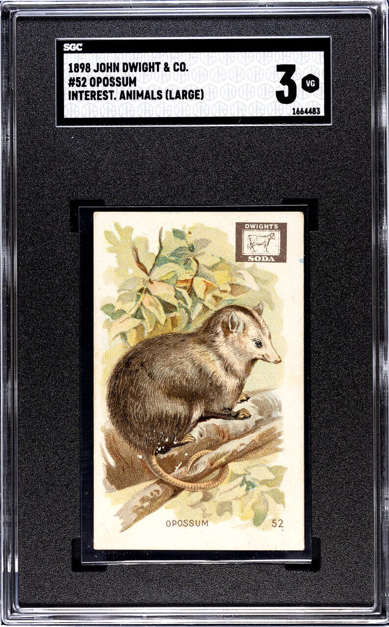 1898 John Dwight & Co. Opossum #52 Interesting Animals (Large) SGC 3