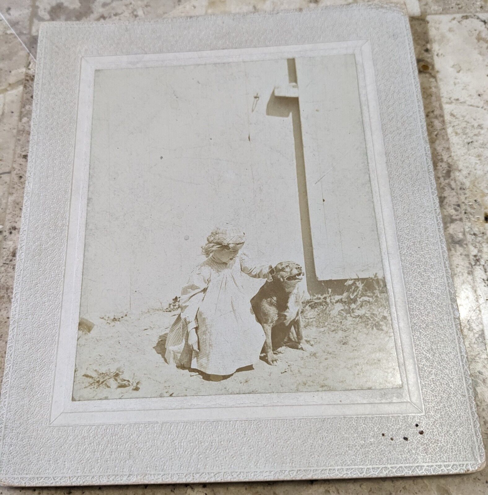 LARGE CDV PHOTO OF LITTLE GIRL PETTING PIT BULL DOG EATMAN KODAK PHOTO NY