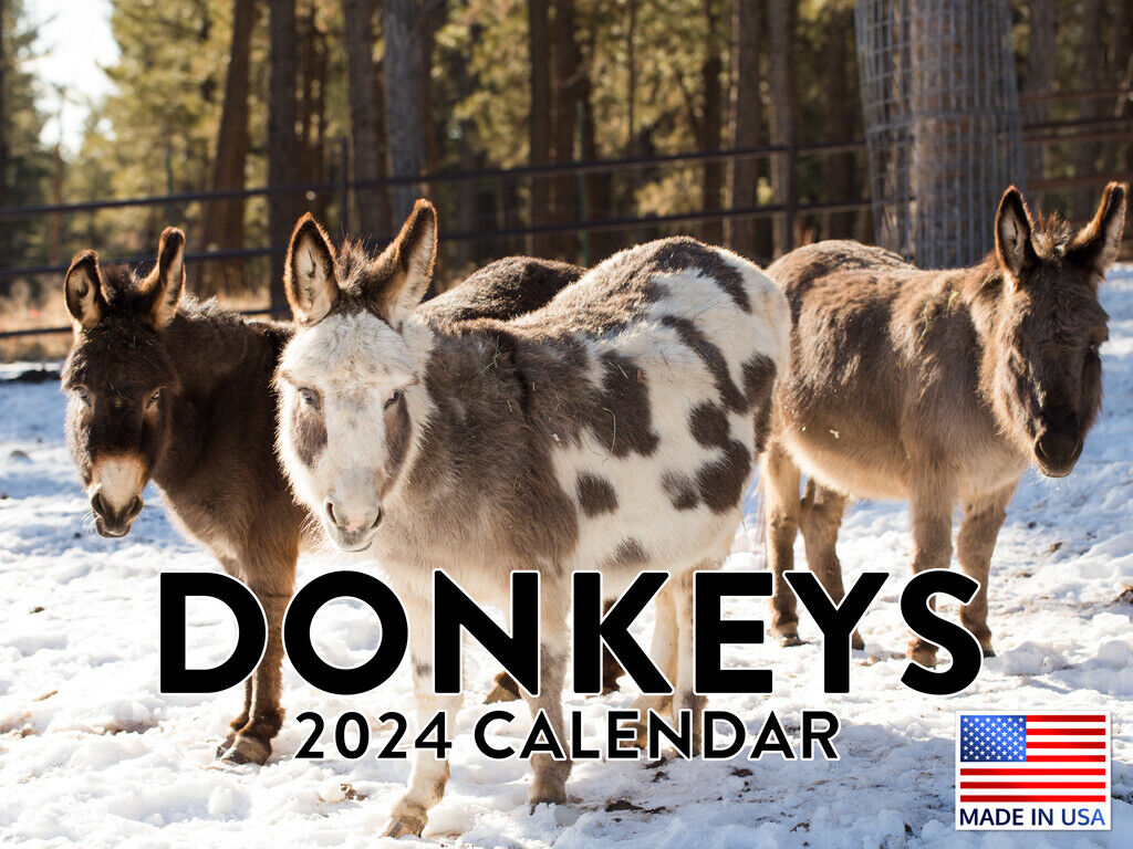 Donkey 2024 Wall Calendar