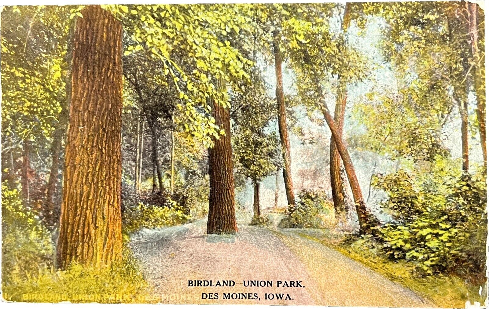 Birdland-Union Park, Des Moines, Iowa, vintage postcard 1909