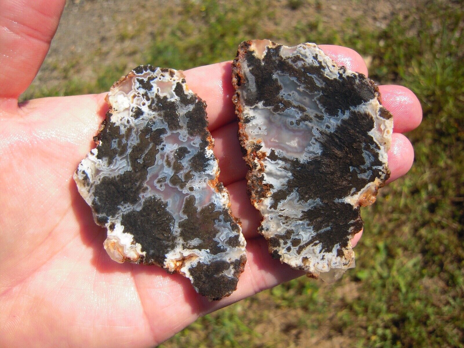 Black Texas Plume Agate Slabs, 61 grams, Set of 2, Lapidary/Cabbing