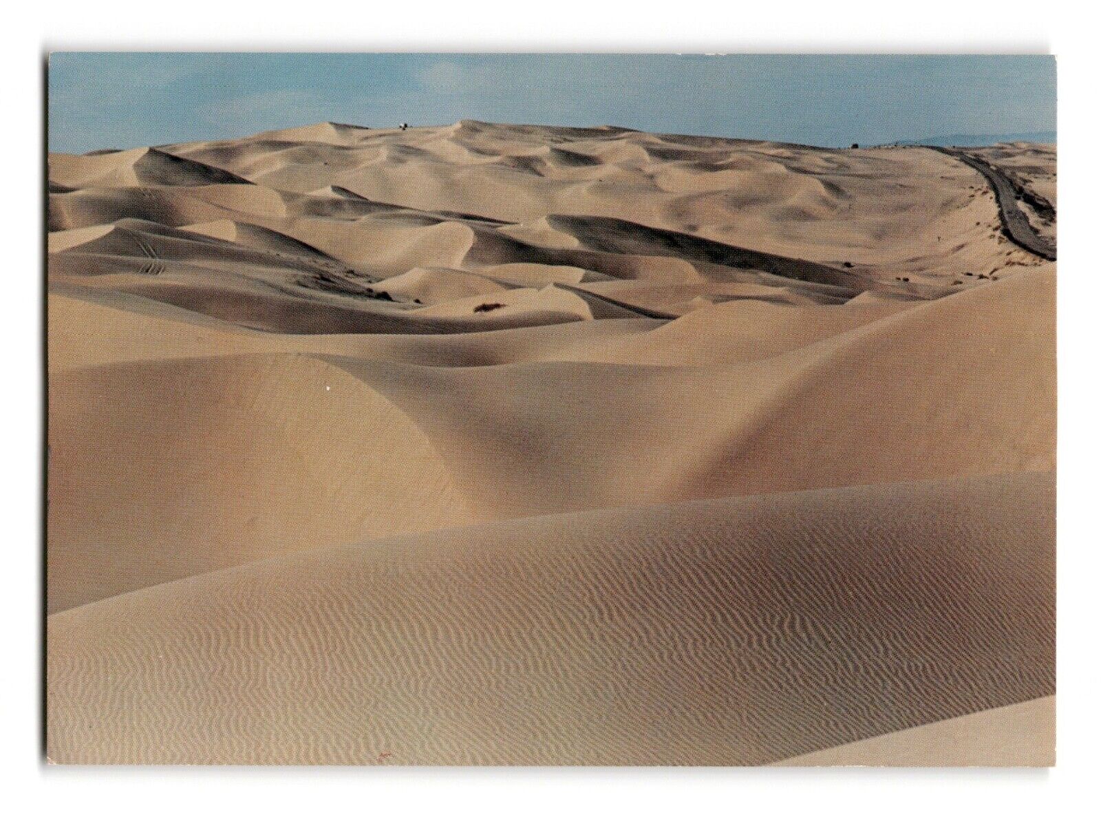 Algodones Dunes, California Natural Landscape Vintage Chrome Postcard