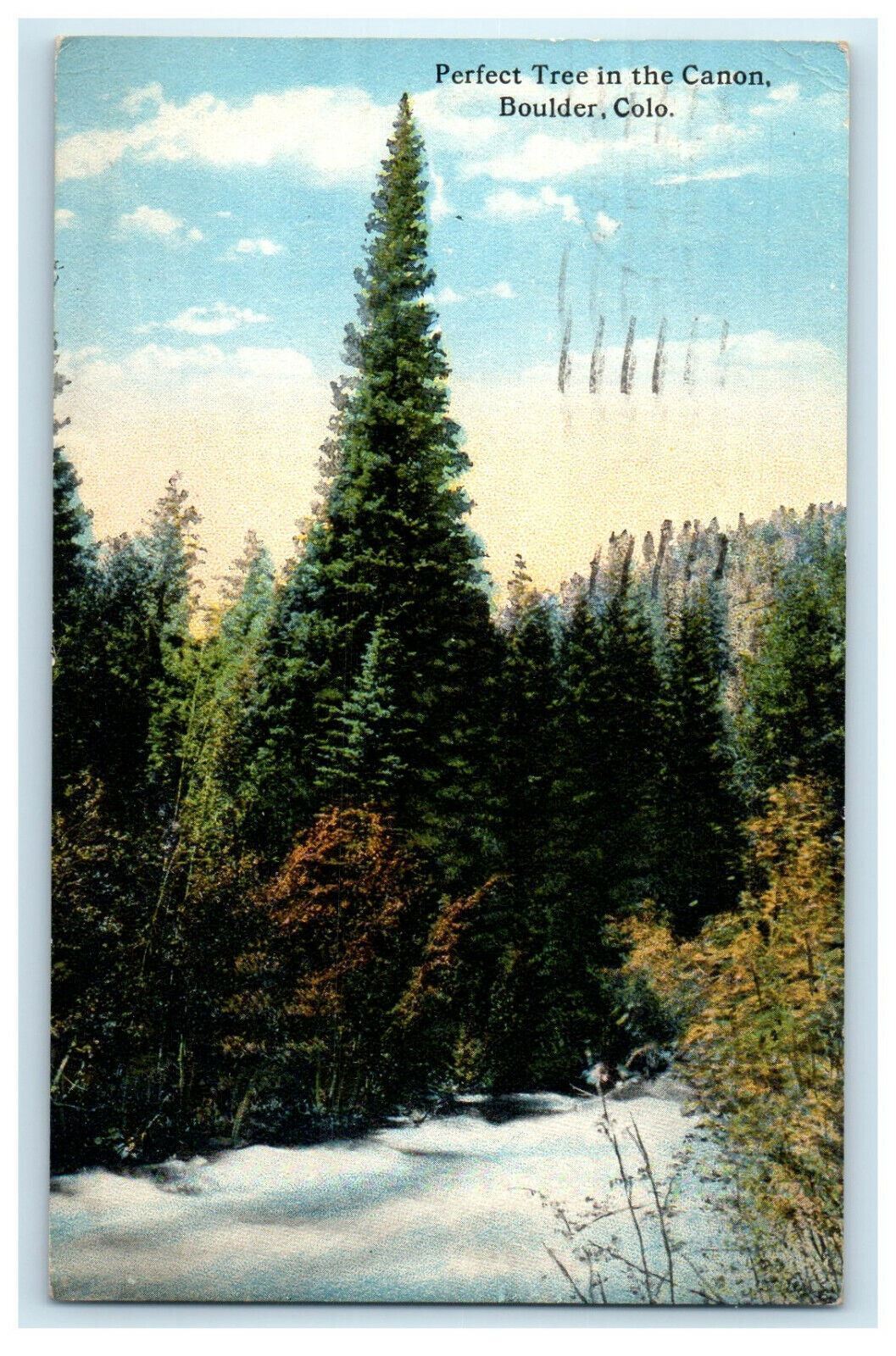 1920 Perfect Treen in the Canon, Boulder Colorado CO Antique Postcard