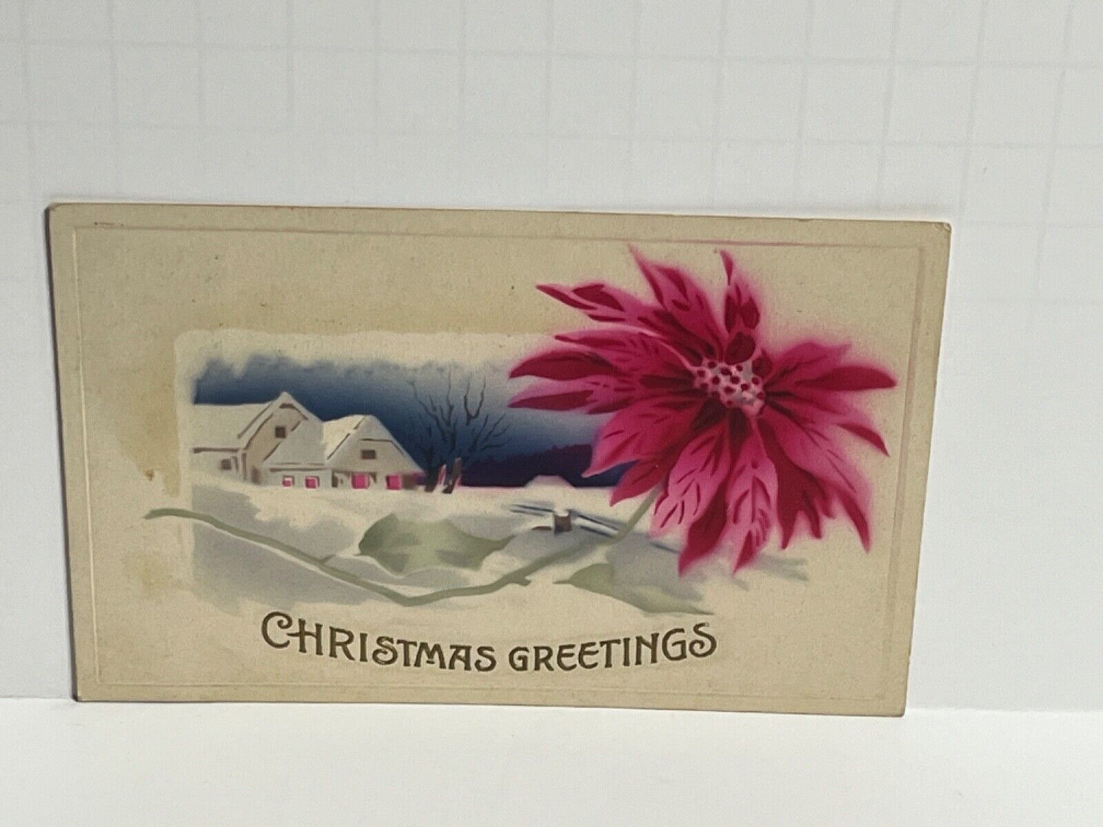 Postcard Christmas Greetings Poinsetta c1911 A68