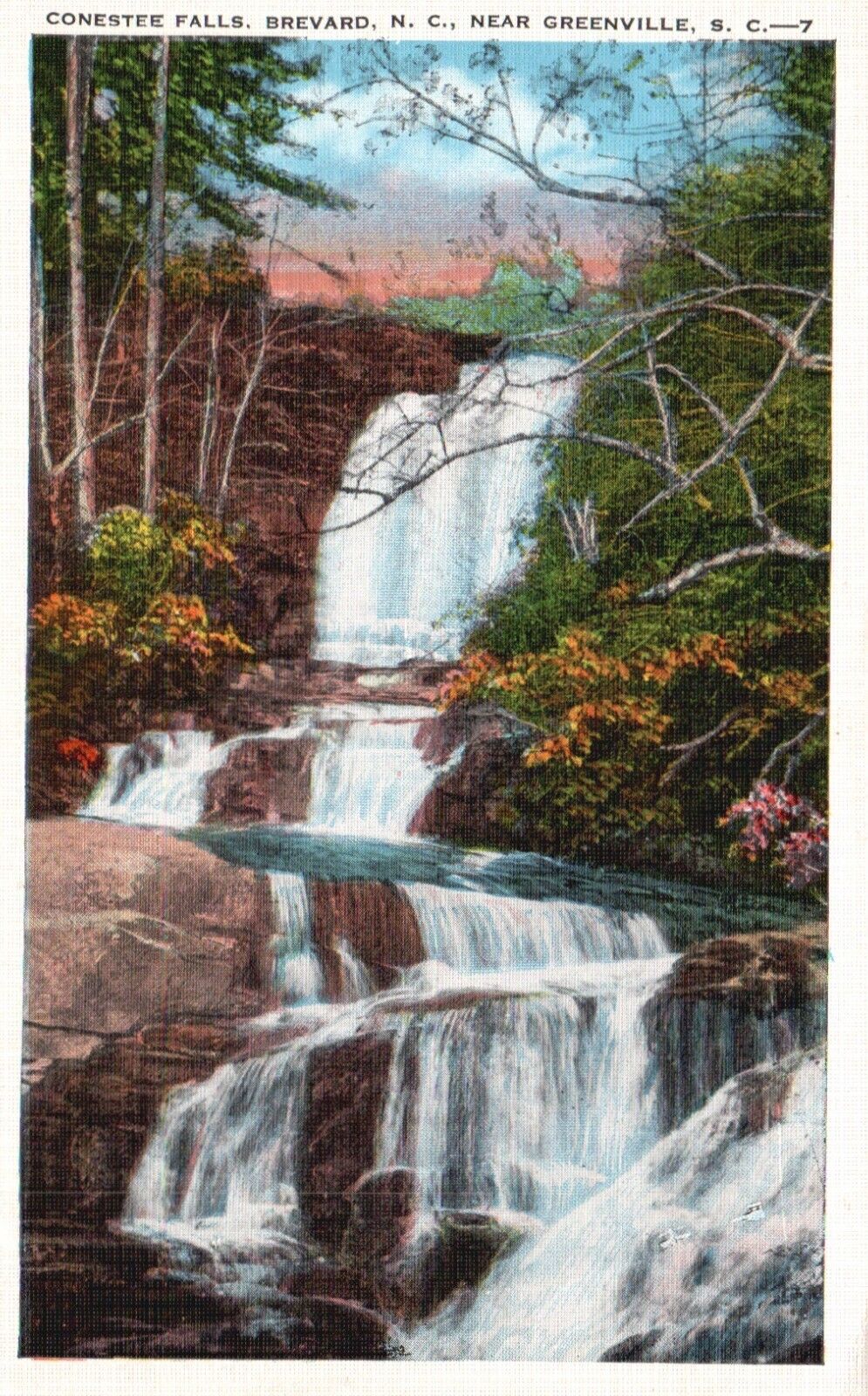 Postcard SC Brevard North Carolina Conestee Falls Linen Vintage PC K1540