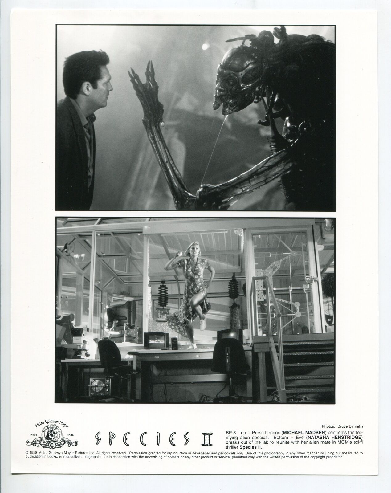 Species II-Natasha Hestridge-Michael Madsen-8x10-B&W-Still-Horror-Sci-Fi-NM