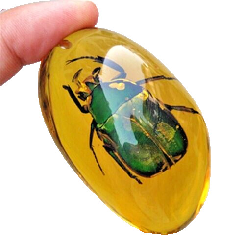 Beautiful Large Artificial Amber With Real beetle Fossil Insects
