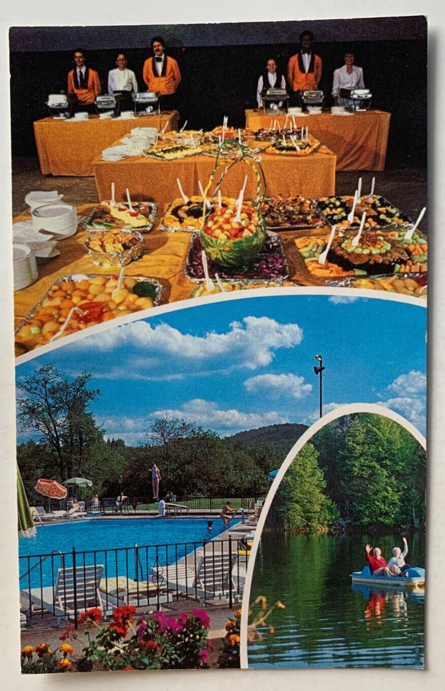 NY Postcard Parksville Sullivan County New York Paramount Hotel multi-view
