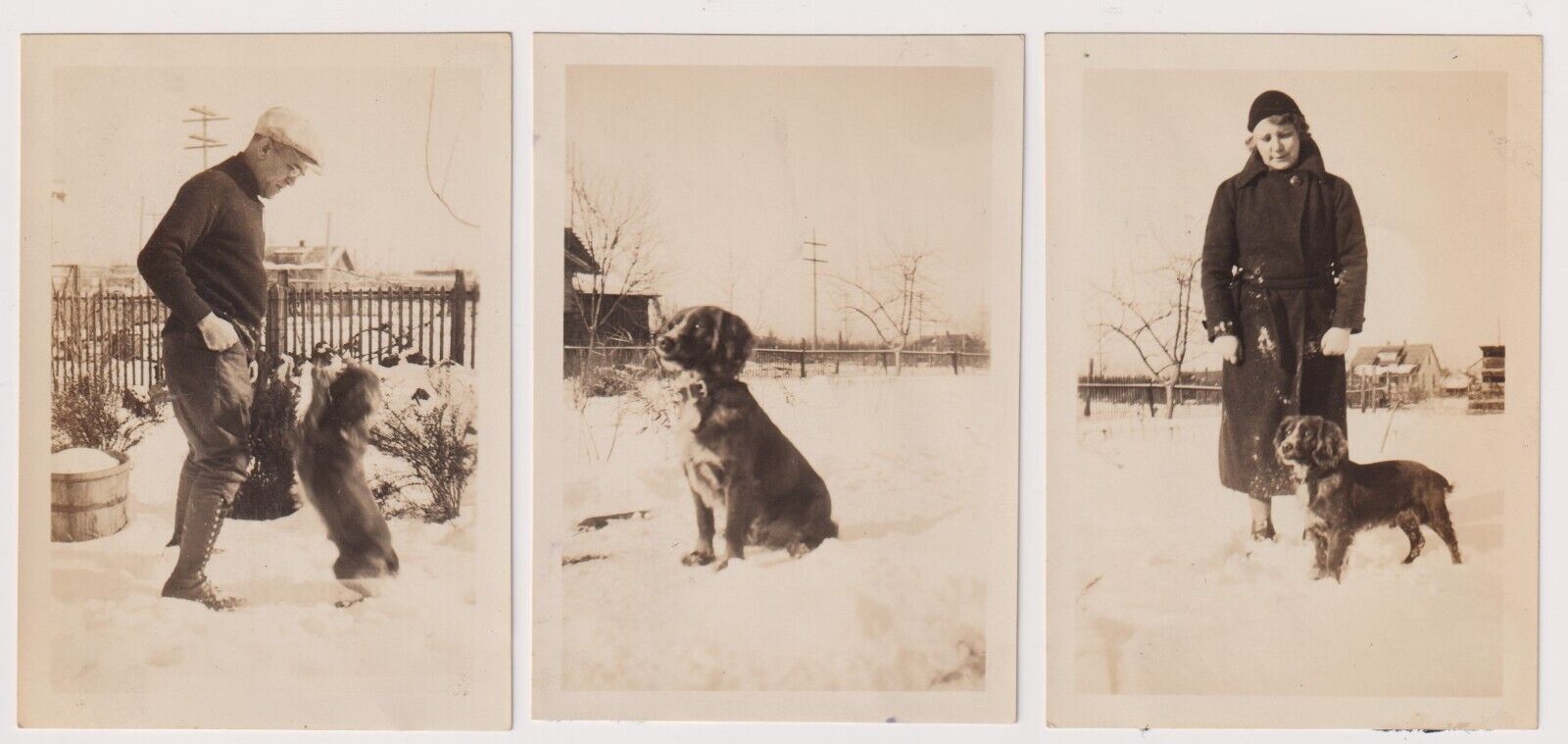 3 Photos c1930's Freckles the Spaniel Dog, Snow Scenes Cute