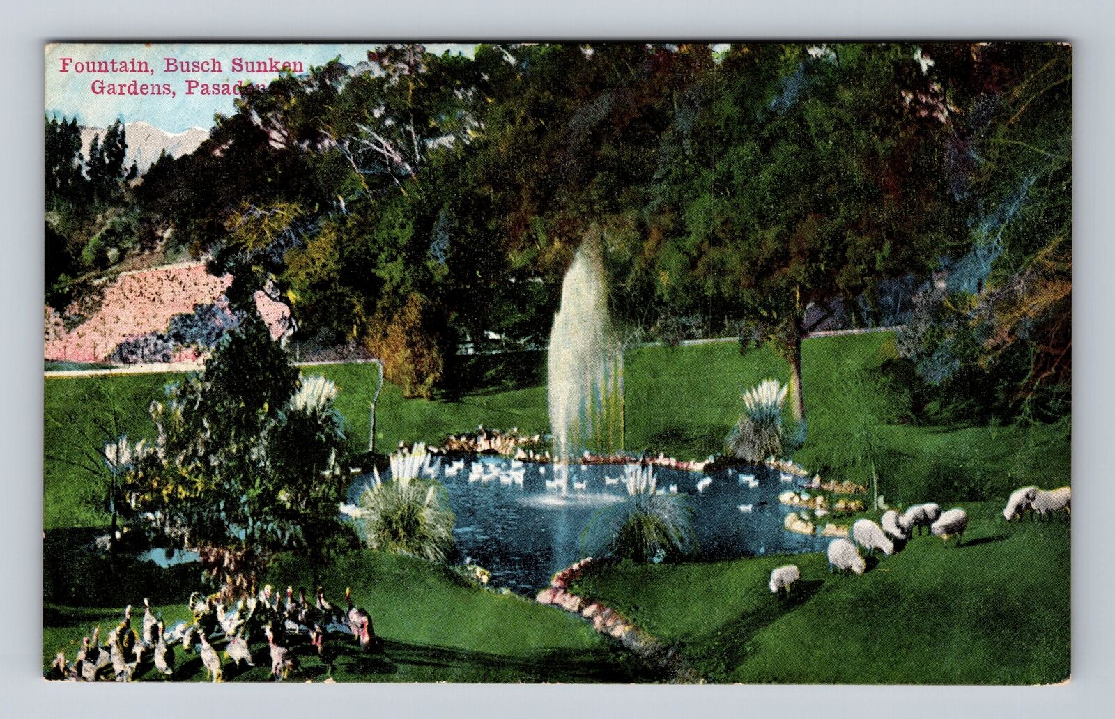 Pasadena CA-California, Fountain Busch Sunken Gardens, Antique Vintage Postcard