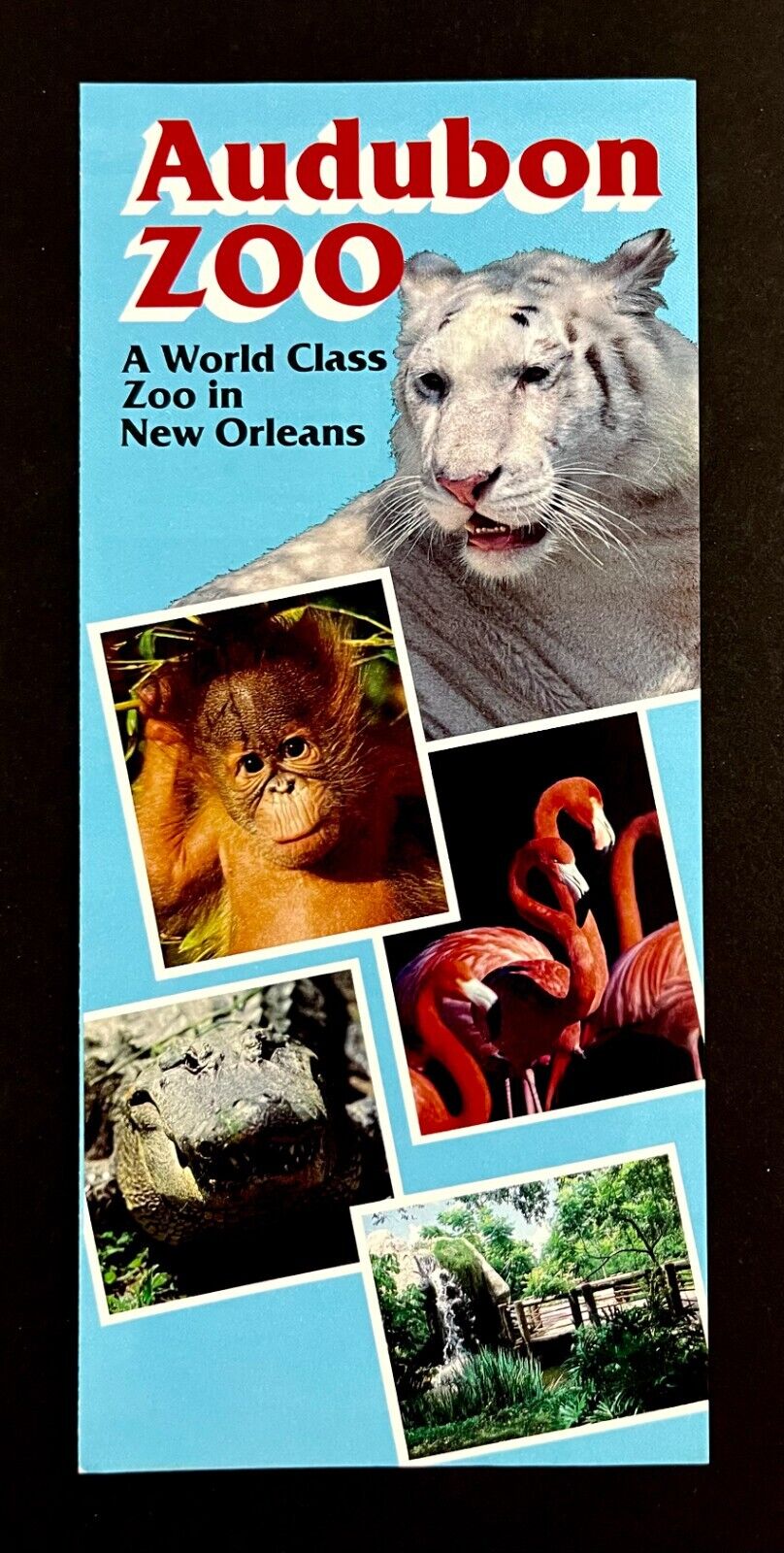 1980s Audubon World Class Zoo New Orleans Louisiana LA Vintage Travel Brochure