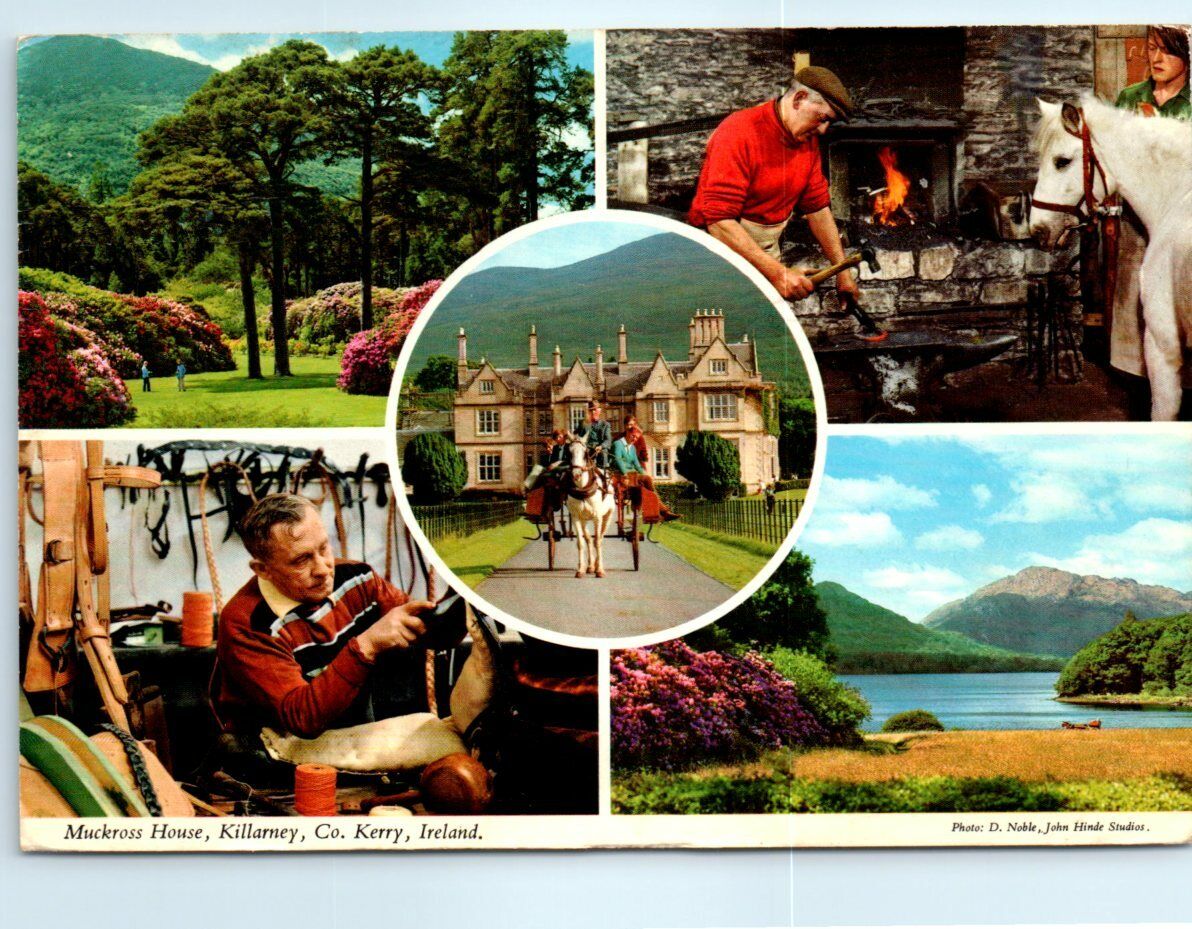 Postcard - Muckross House, Killarney, County Kerry, Ireland