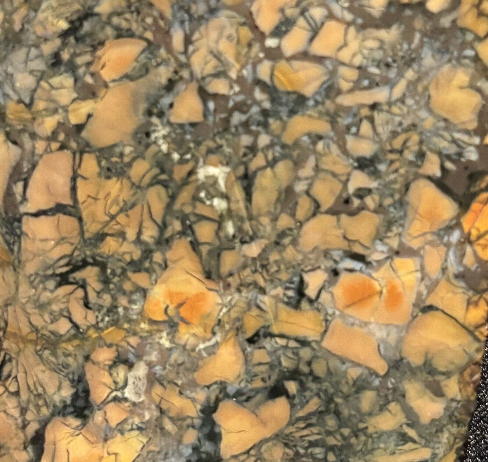 Van Duzen Northern CA Jasper rock slabs (4) lapidary cabbing rough
