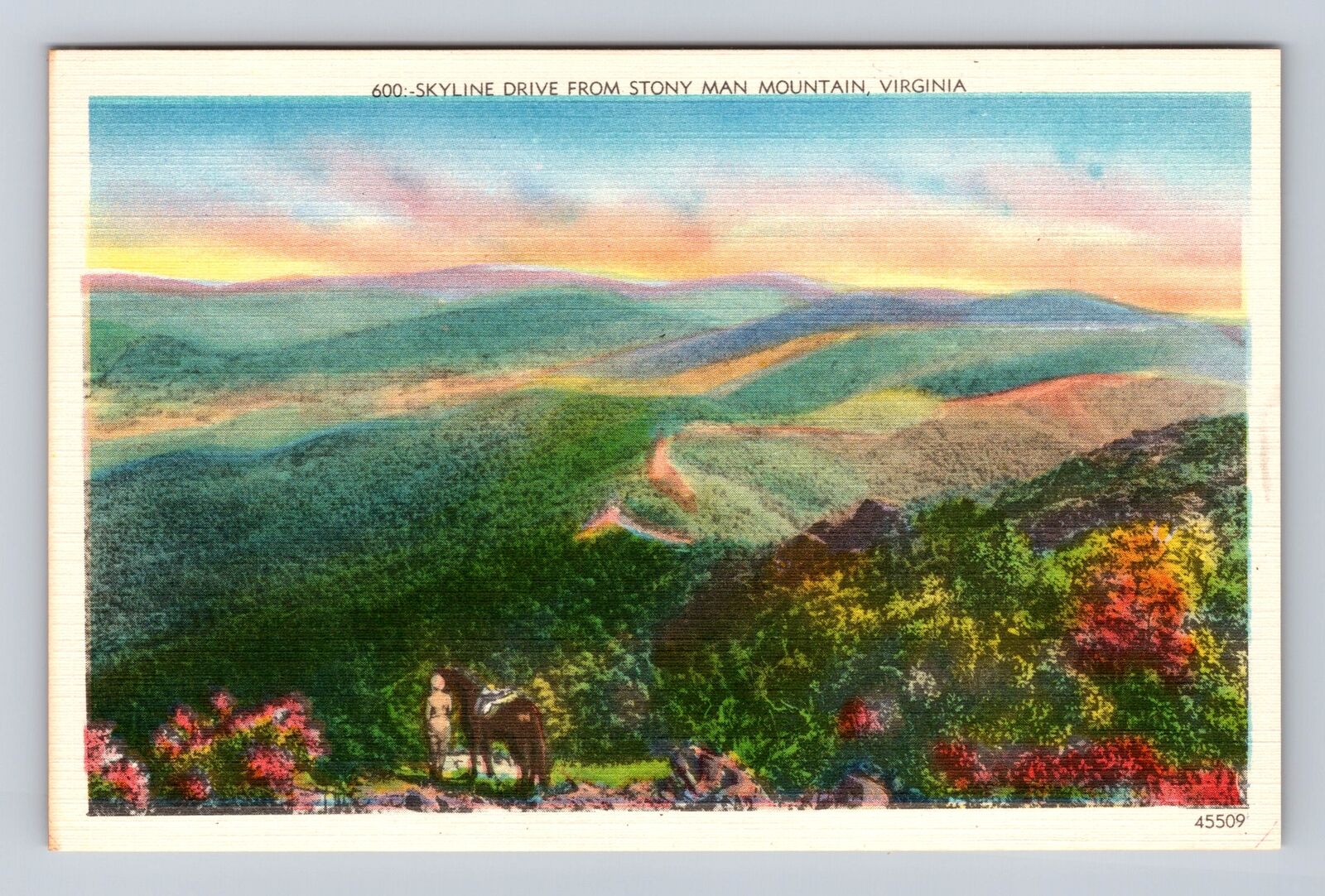 Shenandoah National Park, Stony Man Mountain, Series #600 Vintage Postcard