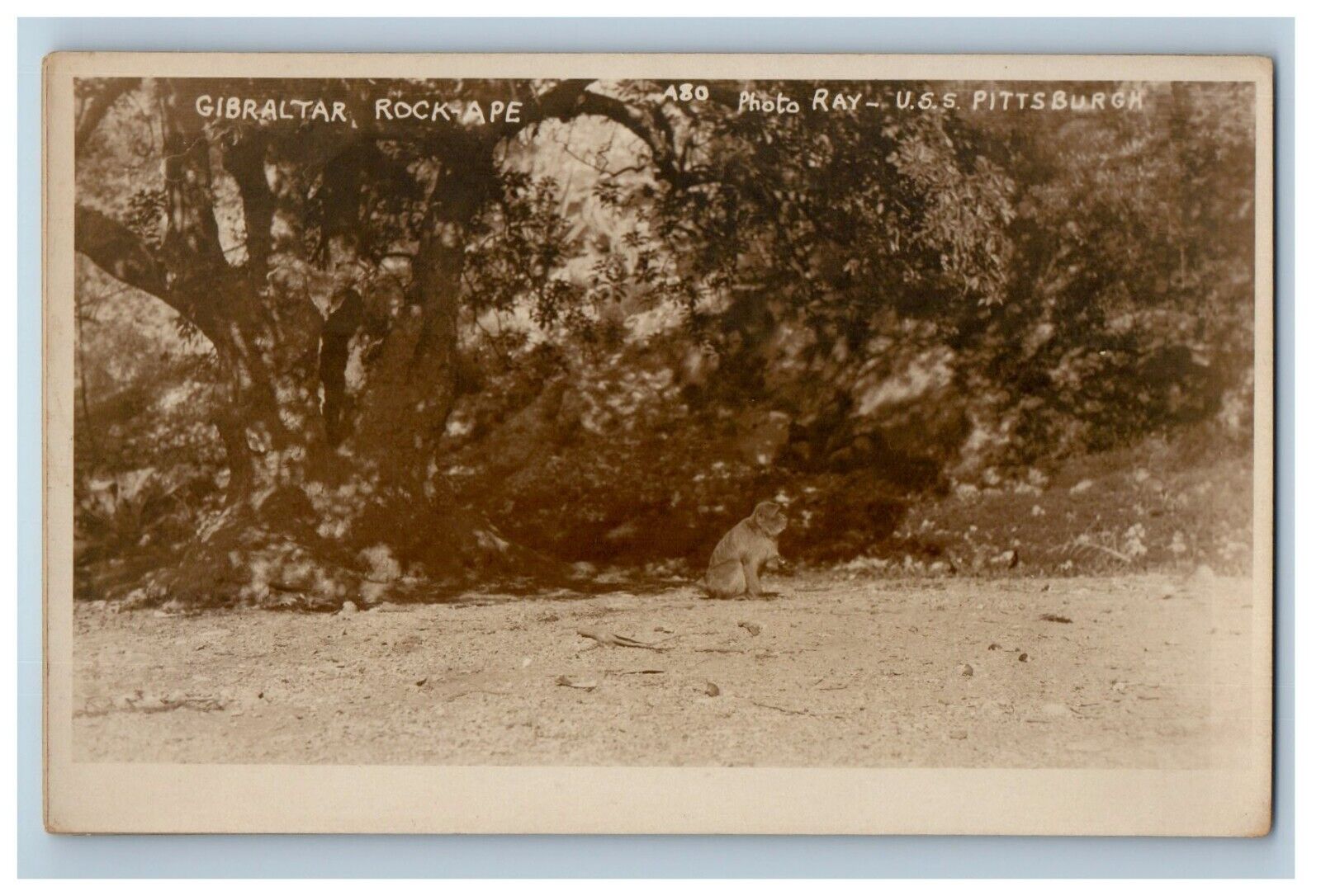 c1920\'s U.S.S. Pittsburgh Gibraltar Rock-Ape RPPC Photo Vintage Postcard