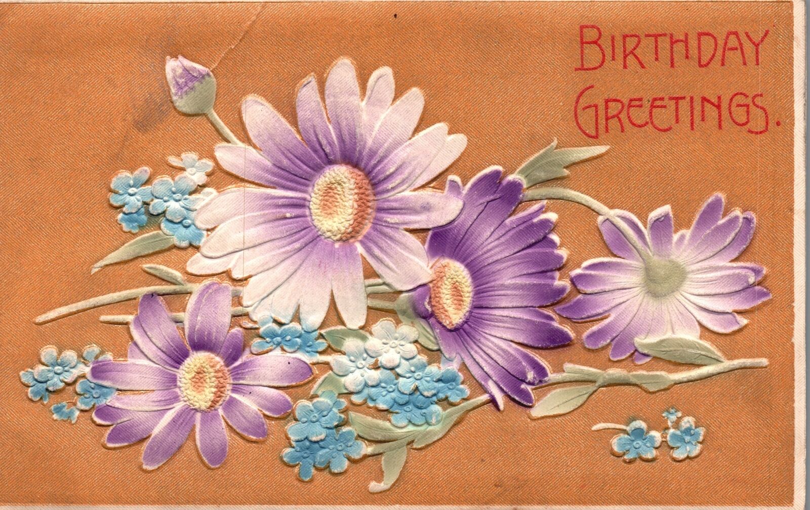 Vintage Postcard Birthday Greetings Daisies Forget Me Nots Large Print Souvenir