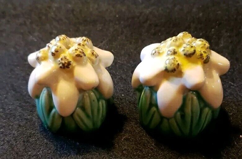 1950s Vintage Tropical Flowers Salt And Pepper Shakers 