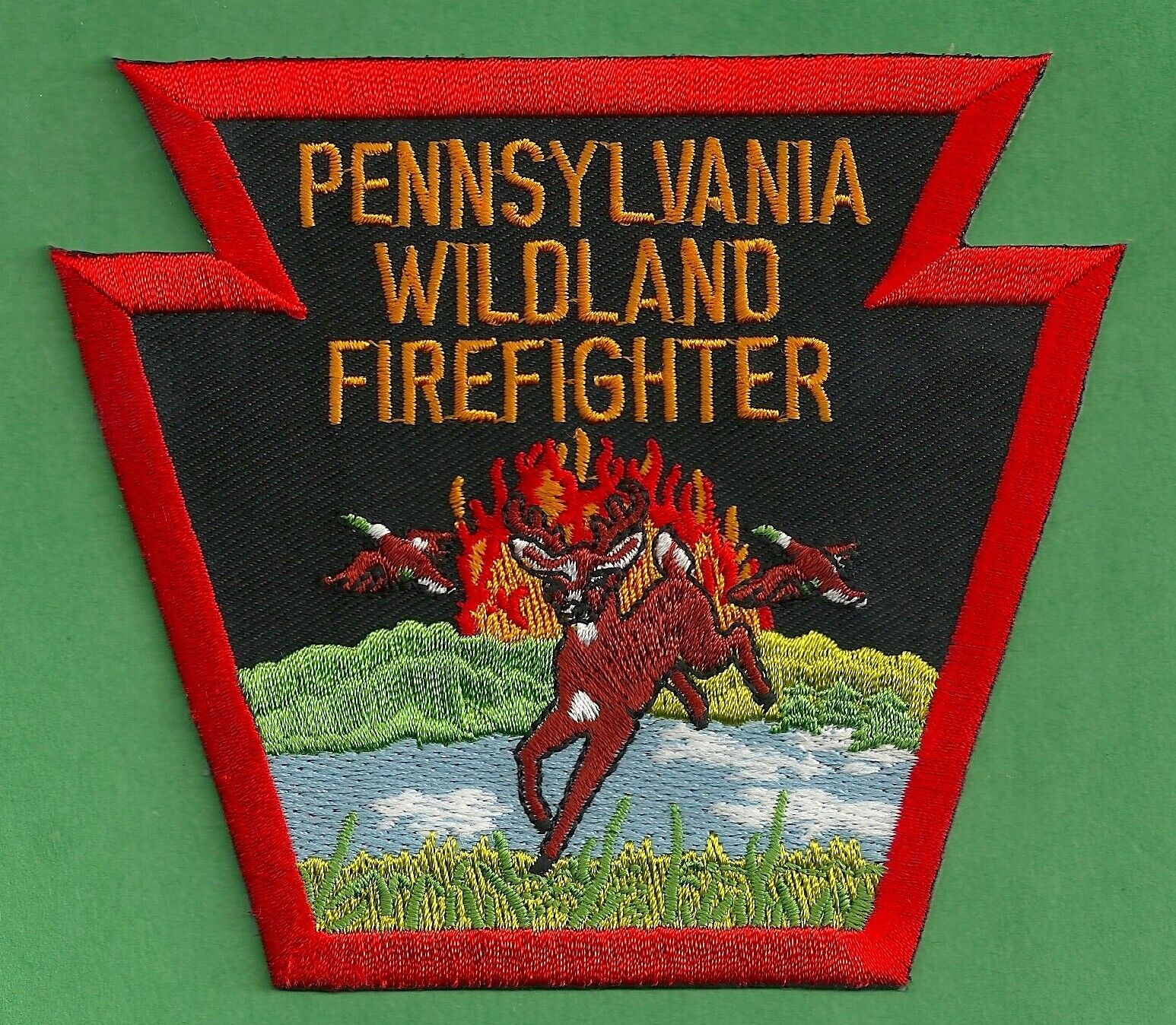 PENNSYLVANIA STATE WILDLAND FIREFIGHTER FIRE PATCH
