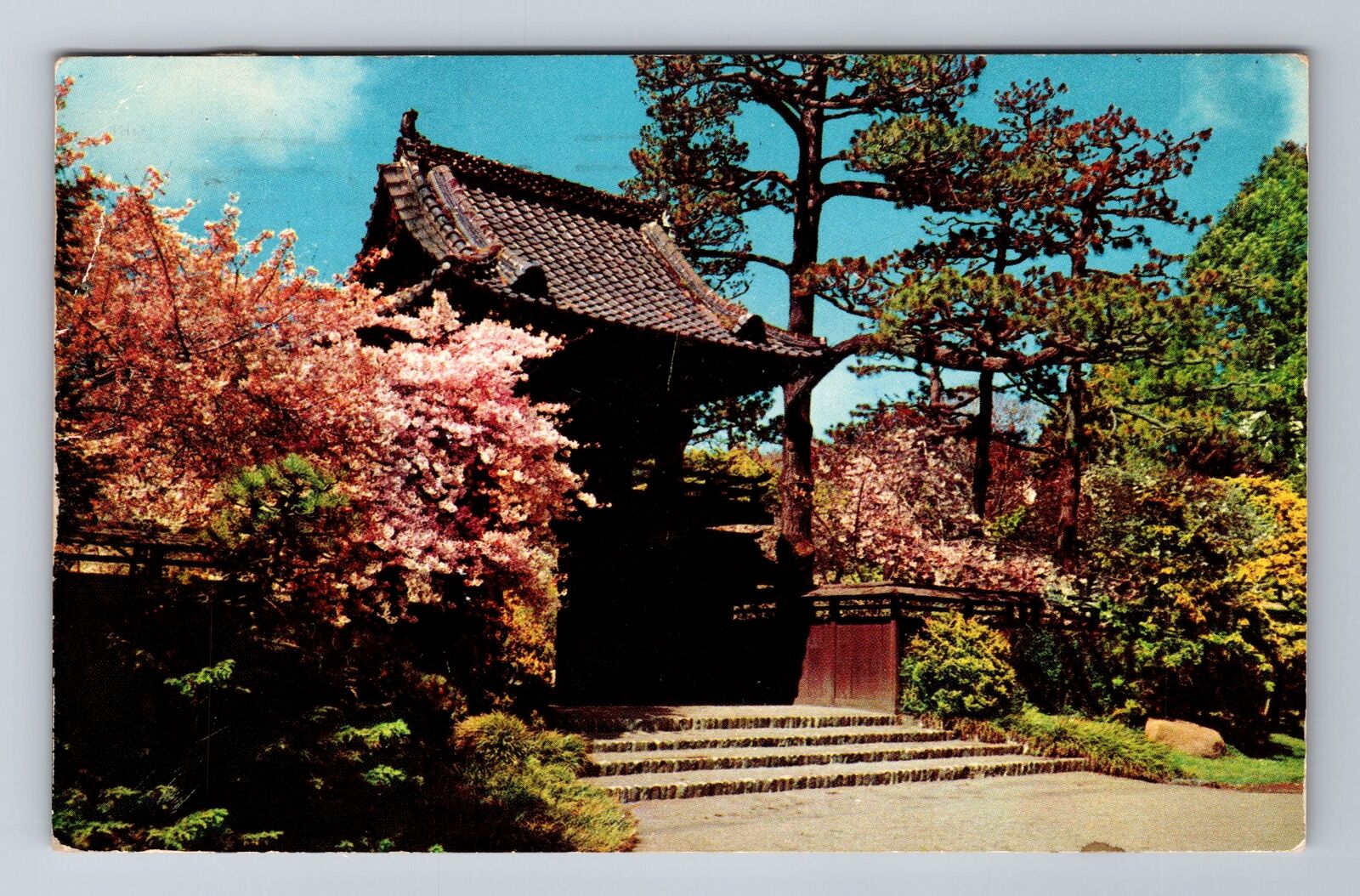 San Francisco CA-California, Oriental Tea Garden, Vintage c1957 Postcard