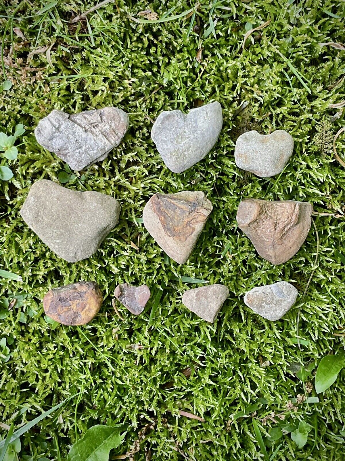 10pcs Natural Heart Shaped Rocks • Raw Untumbled Stones from Mohican River Ohio