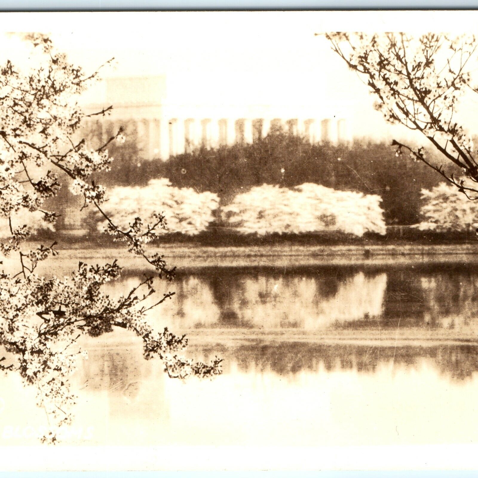 c1930s Washington DC RPPC Lincoln Memorial Reflecting Pool Spring Real Photo A22