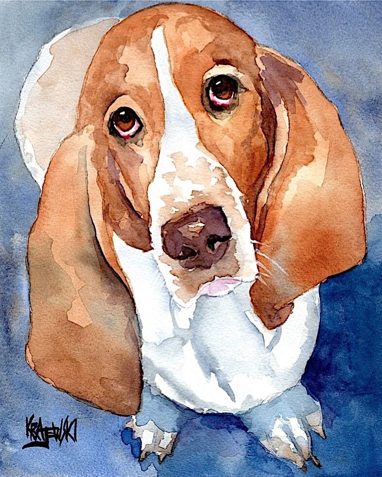 Basset Hound Dog 11x14 signed art PRINT RJK painting