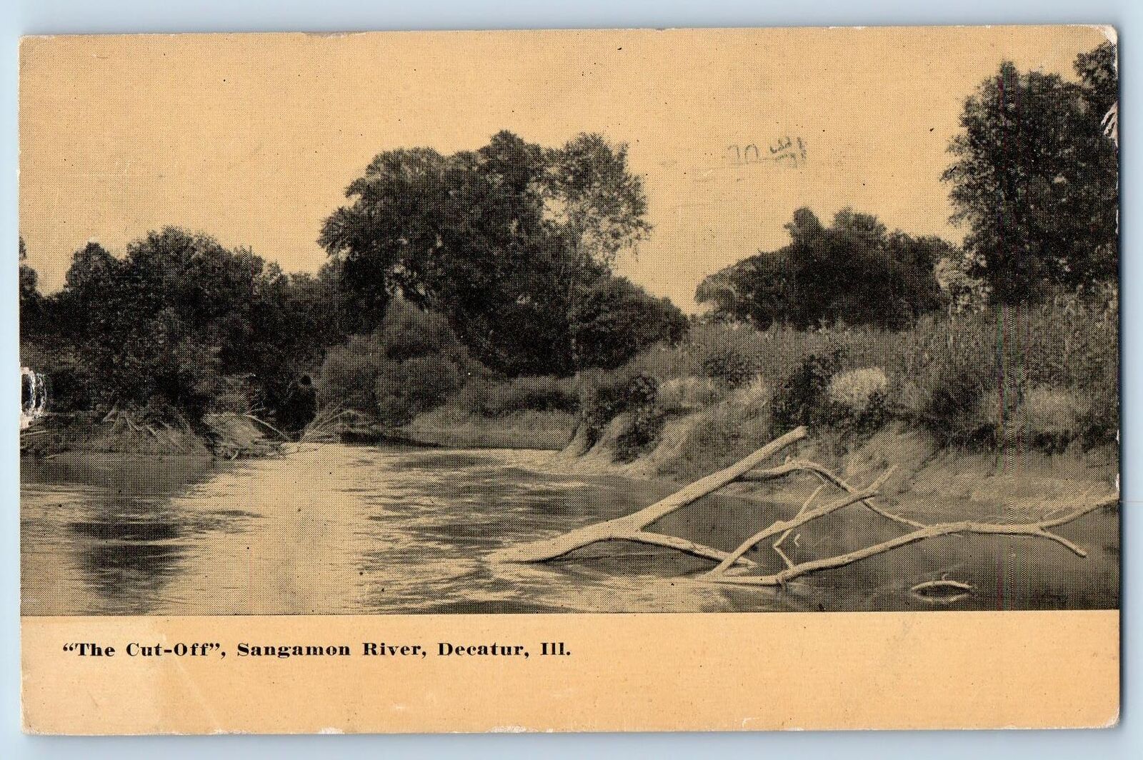 Decatur Illinois IL Postcard The Cut Off Sangamon River Scenic View 1912 Antique