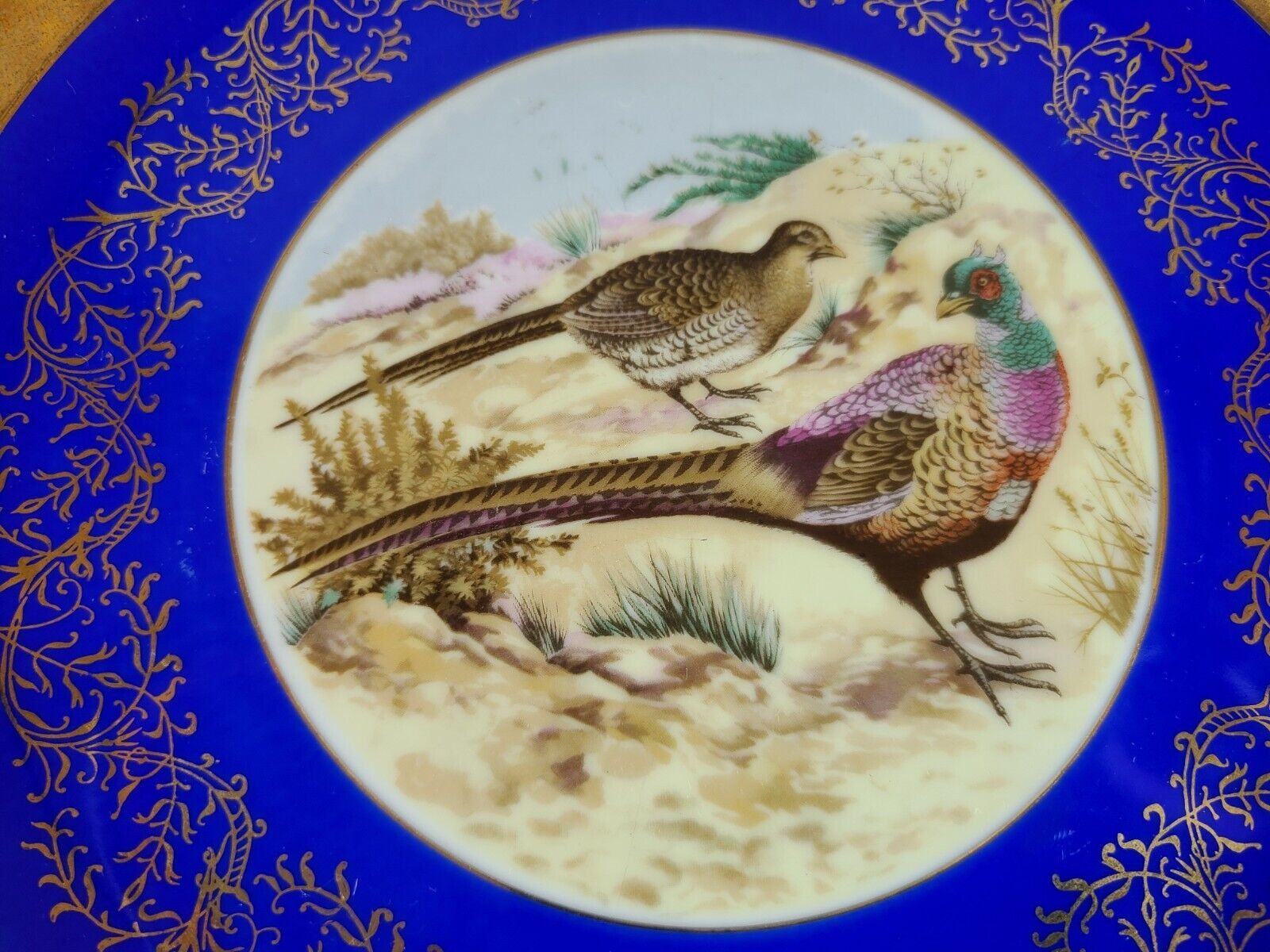 Vintage Hachiya Brothers Set Of 2 Game Bird Cabinet Plates Pheasant